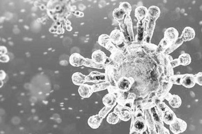 BCC survey finds four in five firms have no plans for vaccine certification