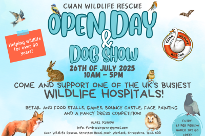 Cuan Wildlife Rescue Open Day & Dog Show