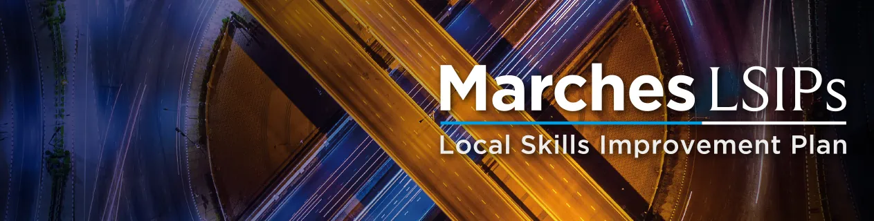 Marches LSIP Stage 2 - Progress Report 2025